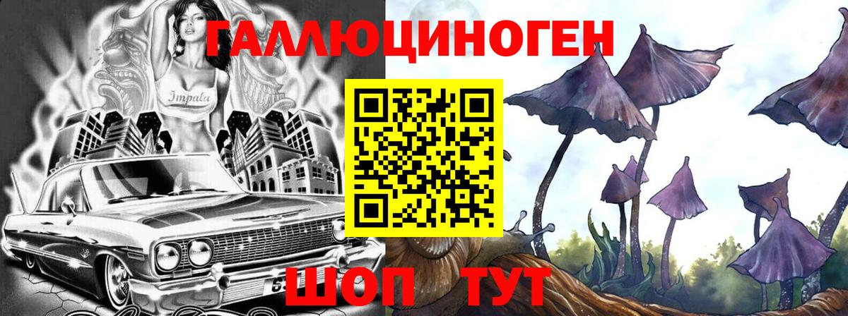 Галлюциногенные грибы Psilocybine cubensis  Вход с VPN  Павлово 